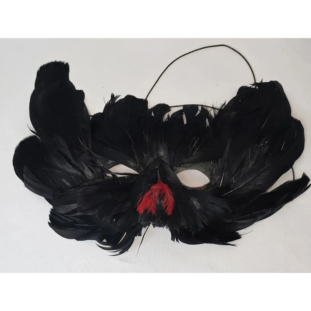 Masquerade Black & Red Feathered Mask Halloween Mardi Gras Womens Costume